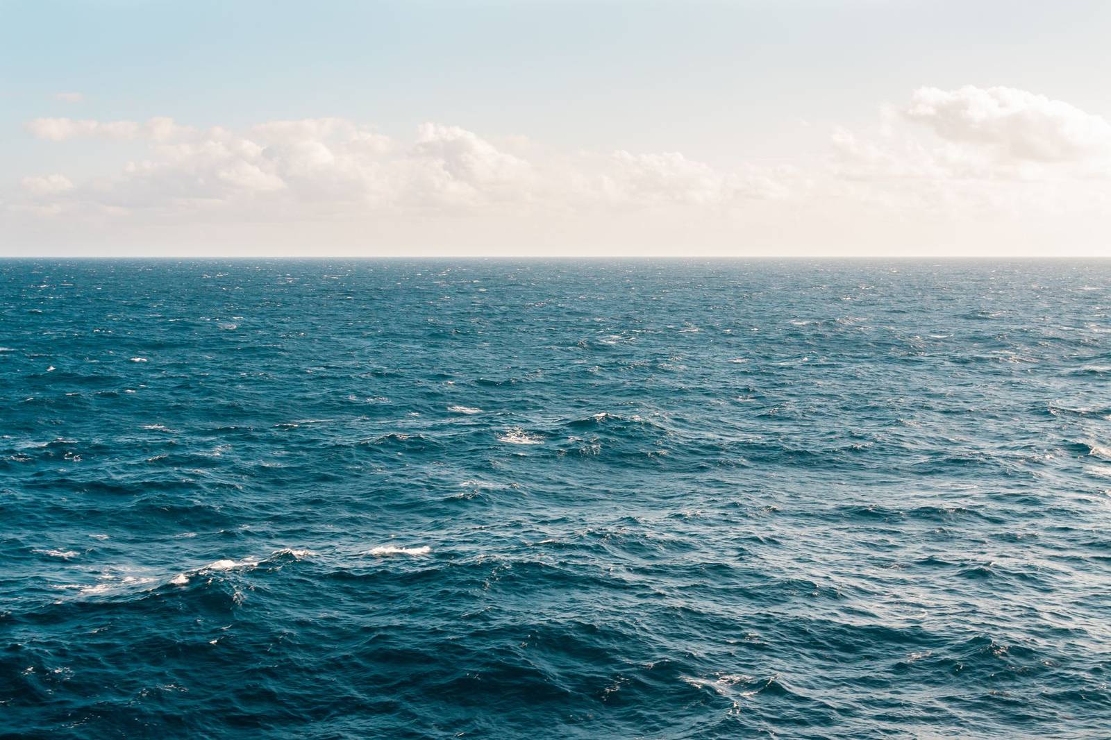 Open ocean in bright daylight, with sunlight on small ripples and a pale sky at the horizon.
