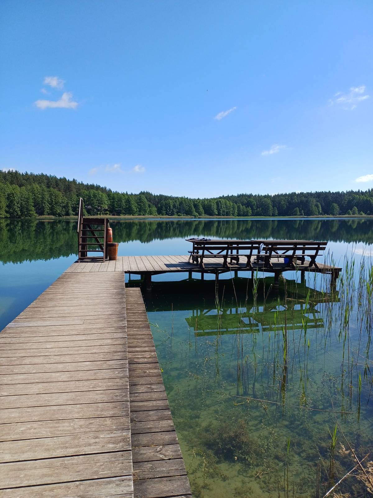 A wooden pier and picnic table over clear, sunlit lake water under a bright blue sky.